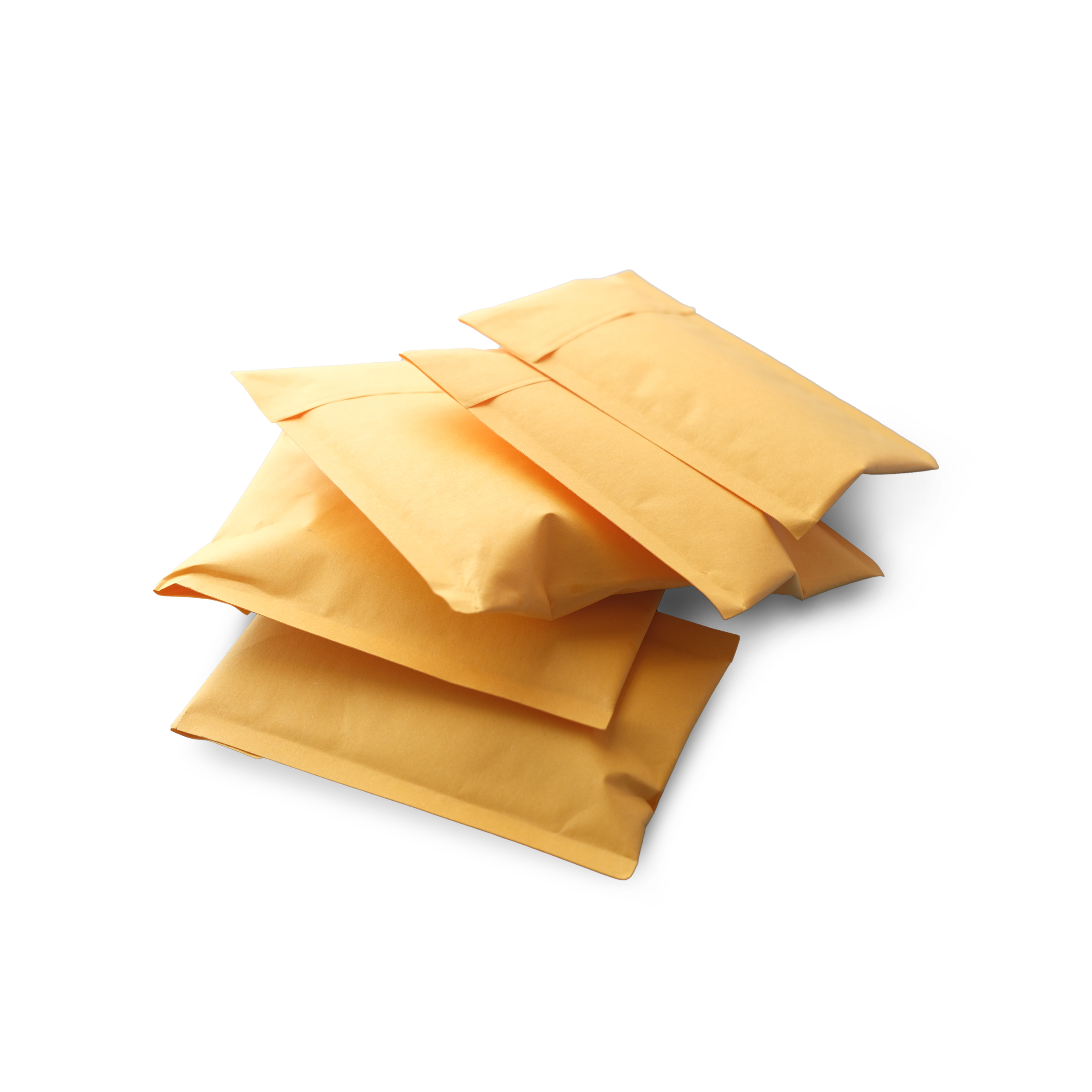 Padded Envelope Mailer