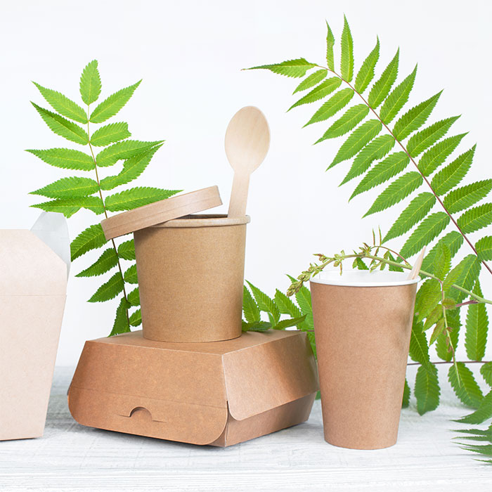 eco boxes