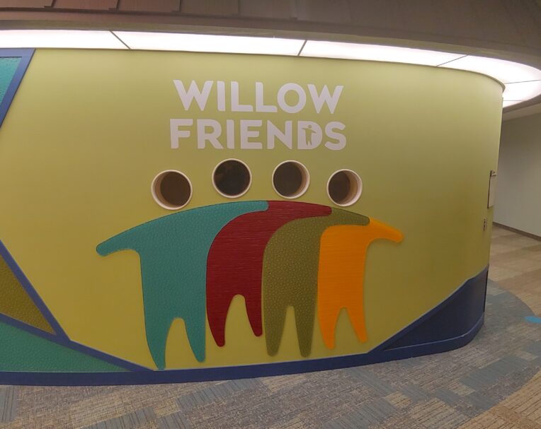 Custom wall signage for Willow Friends with cut vinyl letters and colorful graphic elements for an inviting interior space