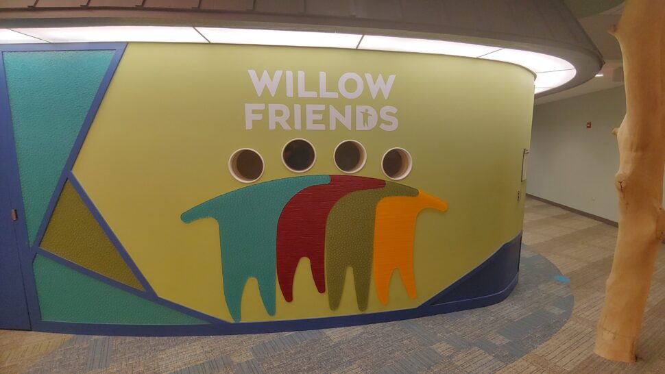 Custom wall signage for Willow Friends with cut vinyl letters and colorful graphic elements for an inviting interior space
