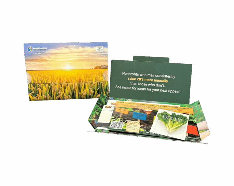 Custom folded dimensional mailer for Harvest with layered inserts and branded graphics designed to engage recipients
